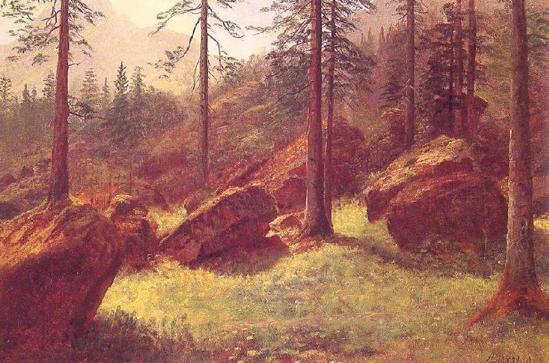 Albert Bierstadt Wooded Landscape